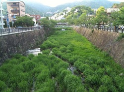 芦屋川