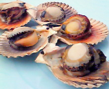 味酒蘭ガイド２-image.jpg