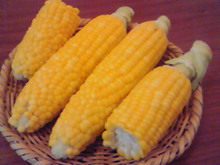 味酒蘭ガイド２-image.jpg