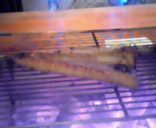 味酒蘭ガイド２-200812231931000.jpg