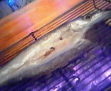 味酒蘭ガイド２-200812181944000.jpg