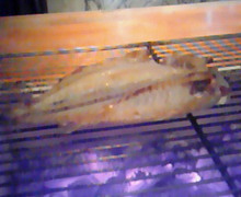 味酒蘭ガイド２-200812181940000.jpg