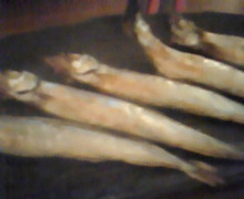 味酒蘭ガイド２-image.jpg