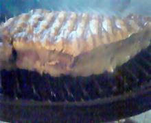 味酒蘭ガイド２-200902181850001.jpg